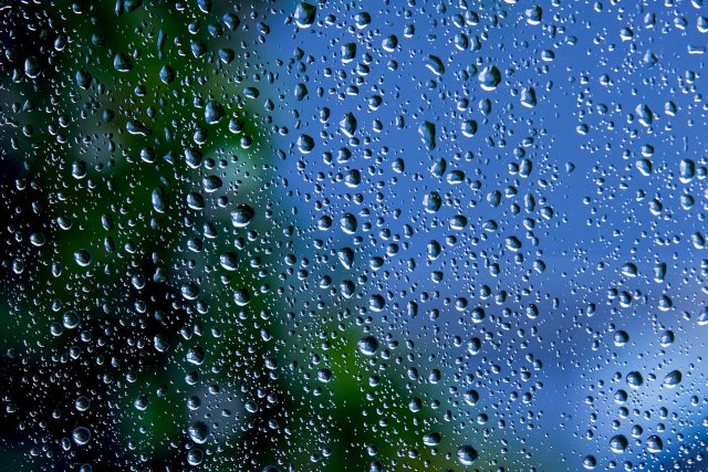 Humidity Facts for Kids – What Humidity Is and How It Affects Weather