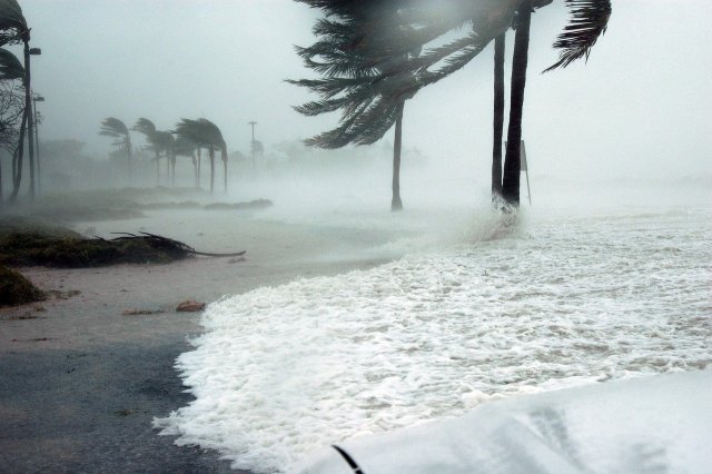 Wind Facts for Kids – What Causes Wind & How It Shapes Our Weather