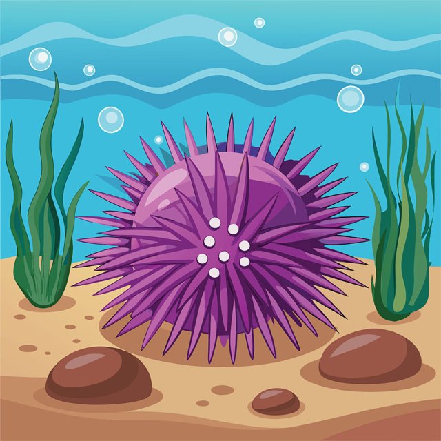 Oceans for Kids: Fun Facts, Zones, and Why They Matter