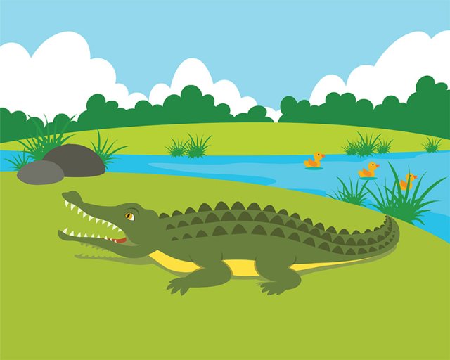 Exploring Habitats: Where Plants and Animals Live and Thrive