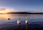 Sweden: Geography, History, and Culture for Students