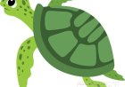 Turtles for Kids – Fun Facts, Types, Life Cycle & How to Protect Them