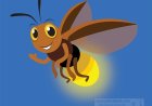 Fireflies for Kids: Fun Facts, Life Cycle, and How They Glo