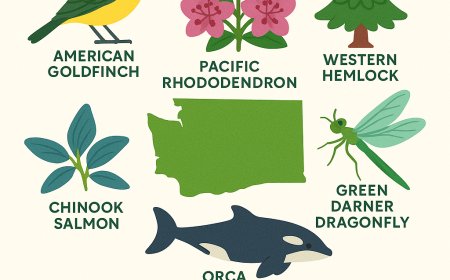 Washington State Guide for Students | Geography, History, Landmarks & Nature