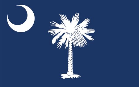 South Carolina State Guide for Students | History, Culture, Geography & Landmarks