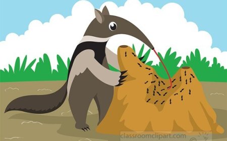 Termites for Kids: Fun Facts, Colony Life, and Why They Matter