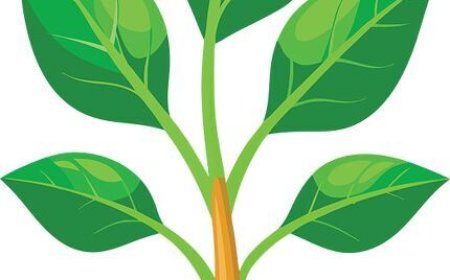 Parts of Plants for Students – Roots, Stems, Leaves, and Beyond