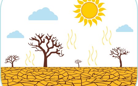 Weathering and Erosion Explained: How Rocks Break and Move for Students