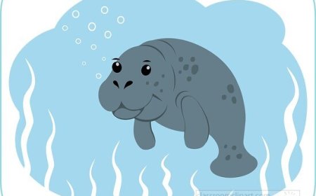 Manatee Facts for Kids – Gentle Giants of Warm Waters