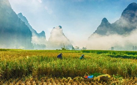 Mongolia for Students: Geography, Culture, and History of the Steppes