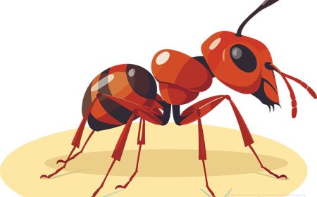 Fire Ants for Kids: Facts, Life Cycle, and Why They Sting