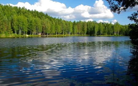 Finland: Geography, Culture, and History for Students