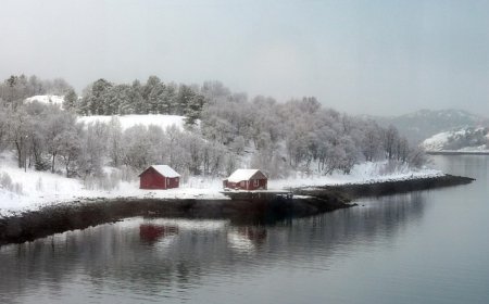 Norway: Geography, History, and Culture for Students