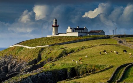Ireland: Geography, Culture, and History for Students