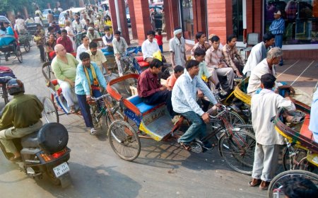 India Geography, Culture, and History