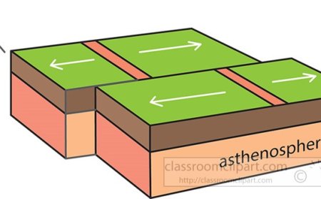 Tectonic Plates: What They Are, How They Move, and Fun Facts for Students