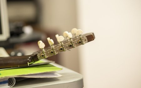 Charango Facts for Students