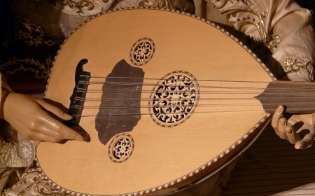 Mandolin Facts for Students | Discover the Sound and History of the Mandolin