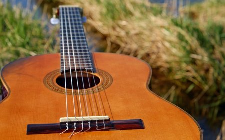 Guitar Facts for Students | Learn How the Guitar Works and Its Role in Music