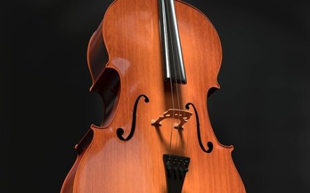Cello Facts for Kids – History, Technique & Sound
