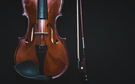 Viola Facts for Students | Learn About the Viola and Its Role in the Orchestra