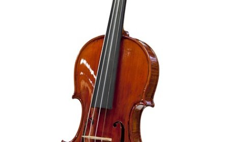 Violin Facts for Students | Learn How the Violin Works and Its Role in Music