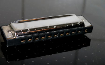 Harmonica Facts for Kids – Learn About This Fun and Portable Instrument