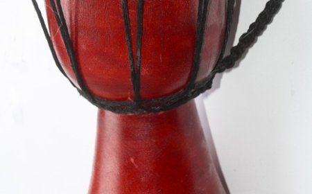 Conga Drum Facts for Students | Learn How Congas Work & Their Cultural Roots