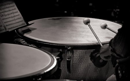 Timpani Facts for Students | Learn How the Timpani Work & Their Role in Music