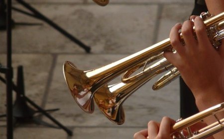 Trumpet Facts for Students | Learn How the Trumpet Works & Its History