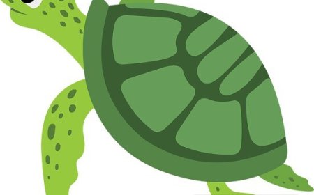 Turtles for Kids – Fun Facts, Types, Life Cycle & How to Protect Them