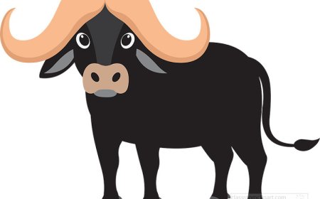 All About Buffalo for Students: Powerful Grazers of Africa and Asia