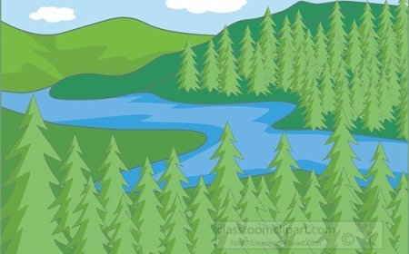 Boreal Forests (Taiga) for Kids: Fun Facts, Animals, and Seasons