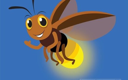 Fireflies for Kids: Fun Facts, Life Cycle, and How They Glo