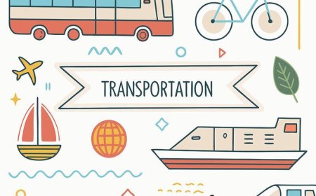 How Transportation Got Started