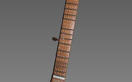 Sitar Facts for Students | Explore the Sounds, History