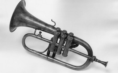 Cornet Facts for Students | Learn How the Cornet Works & Its History