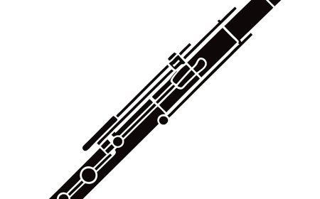 Bassoon Facts for Students | Learn How the Bassoon Works & Its History