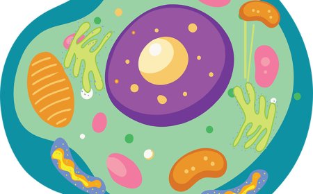 Cells for Kids: The Ultimate Guide to Plant and Animal Cells Explained Simply