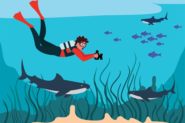 Groundwater for Students | Earth Science Guide - Academic Kids
