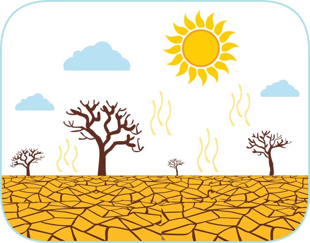 Weathering and Erosion Explained: How Rocks Break and Move for Students
