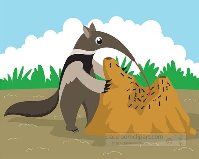 Anteaters for Kids: Fun Facts, Habitats, and Adaptations
