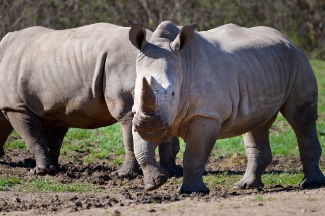 Kenya for Students: Geography, History, and Culture of East Africa’s Jewel