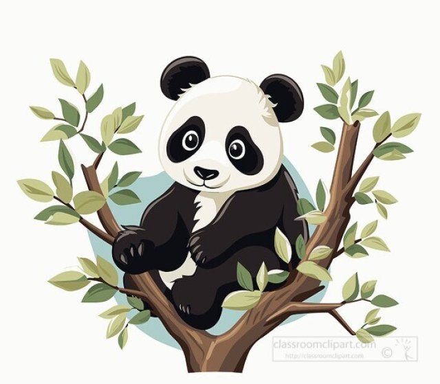 Giant Panda Facts for Kids – Bamboo Diet, Habitat & Behavior