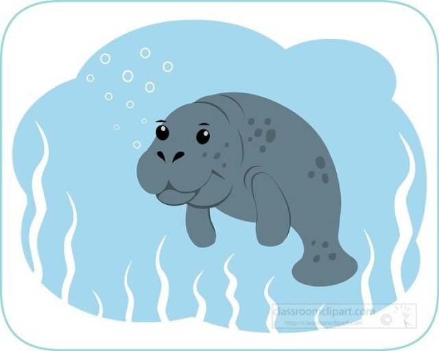 Manatee Facts for Kids – Gentle Giants of Warm Waters