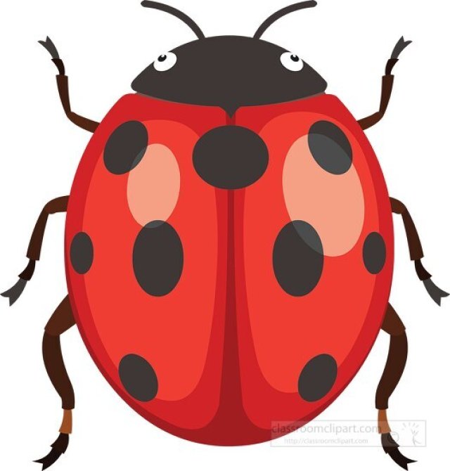 list of insects organized by region