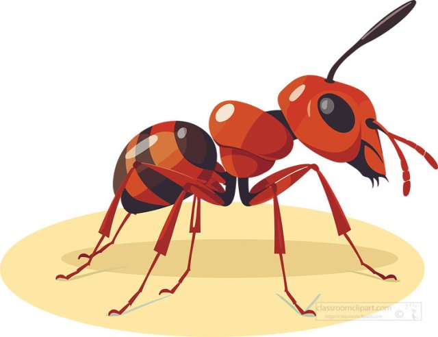 Fire Ants for Kids: Facts, Life Cycle, and Why They Sting