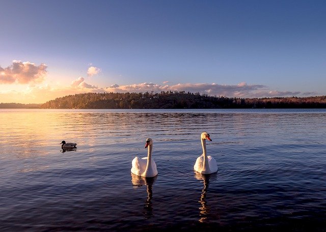 Sweden: Geography, History, and Culture for Students