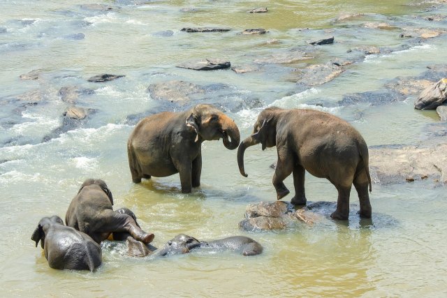 Sri Lanka Geography, Culture, and History