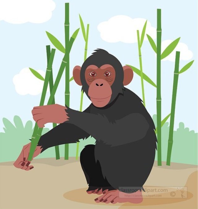 All About Chimpanzees for Students: Smart, Social, and Wild